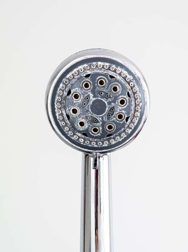 Hard Water Damage: Why You Need a Shower Filter. - ROOTIER